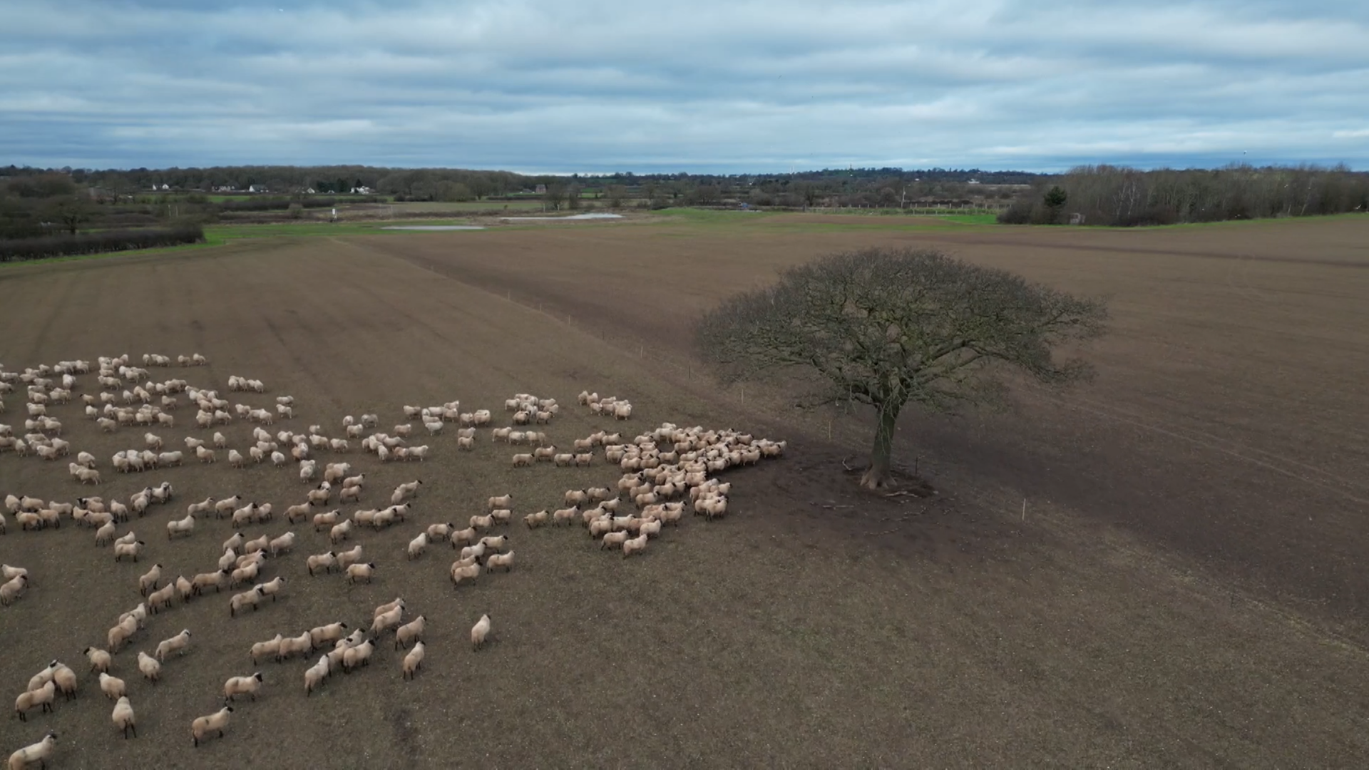 In a time of change Sky News spent a critical year on a farm - find out what we learnt