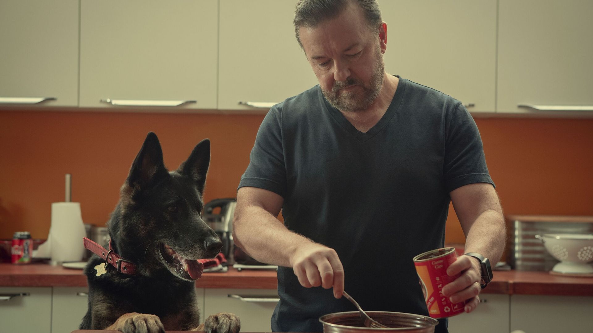 Ricky Gervais pays tribute to 'beautiful' After Life dog after canine co-star's death